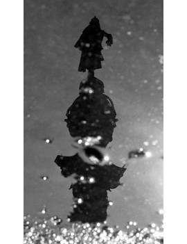 Photo Print Sagrada Familia Reflexion