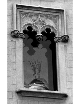 Fotografía Reflejo Colon 2