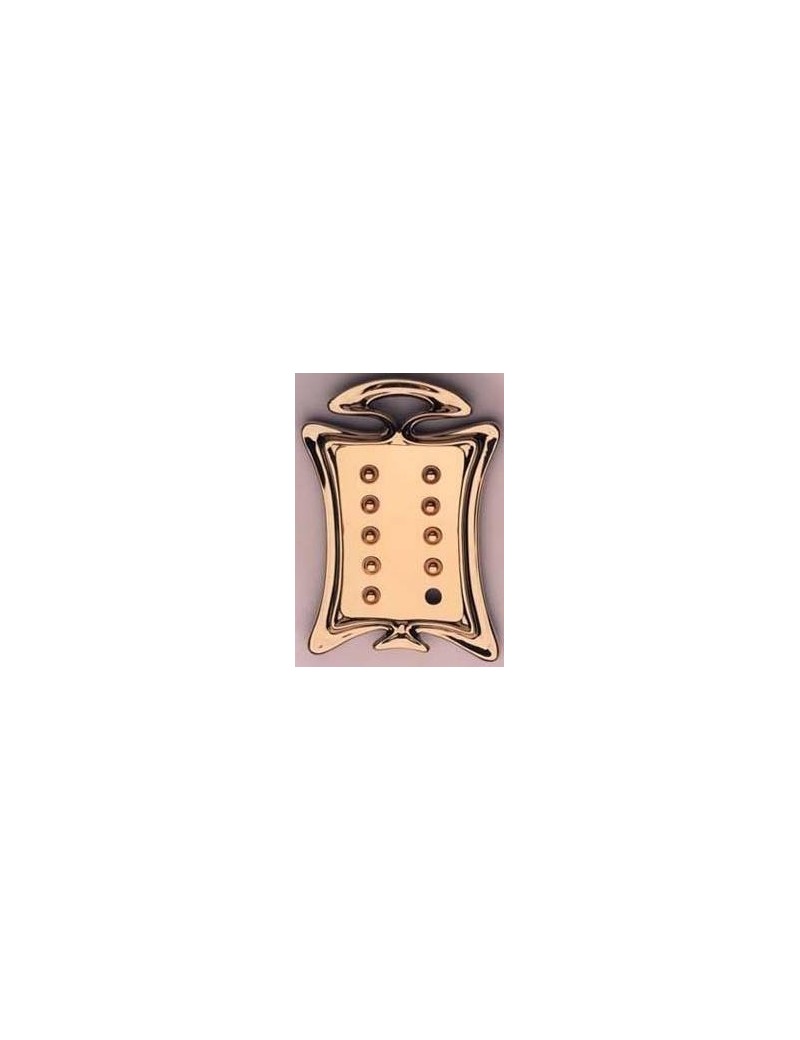 Placa timbre puntas diferentes 