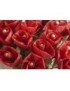 Mocador Flor de Seda personalitzat