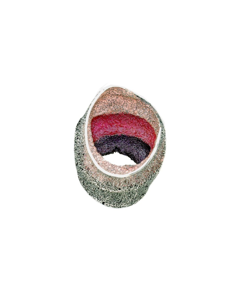 Sinera Pendant