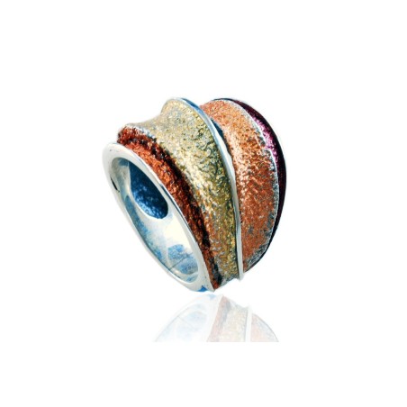 Anillo Batlló