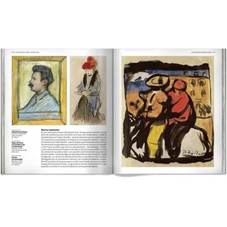 Picasso. En el museo