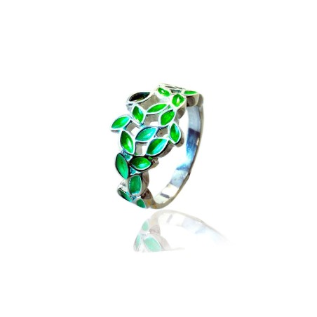 Ring leaves pinnate
