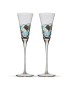 Deux verres champagne Gaudí Aqua
