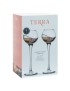 2 Copas Grappa Gaudí Terra