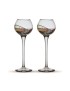 Two Grappa Glasses Gaudi Terra