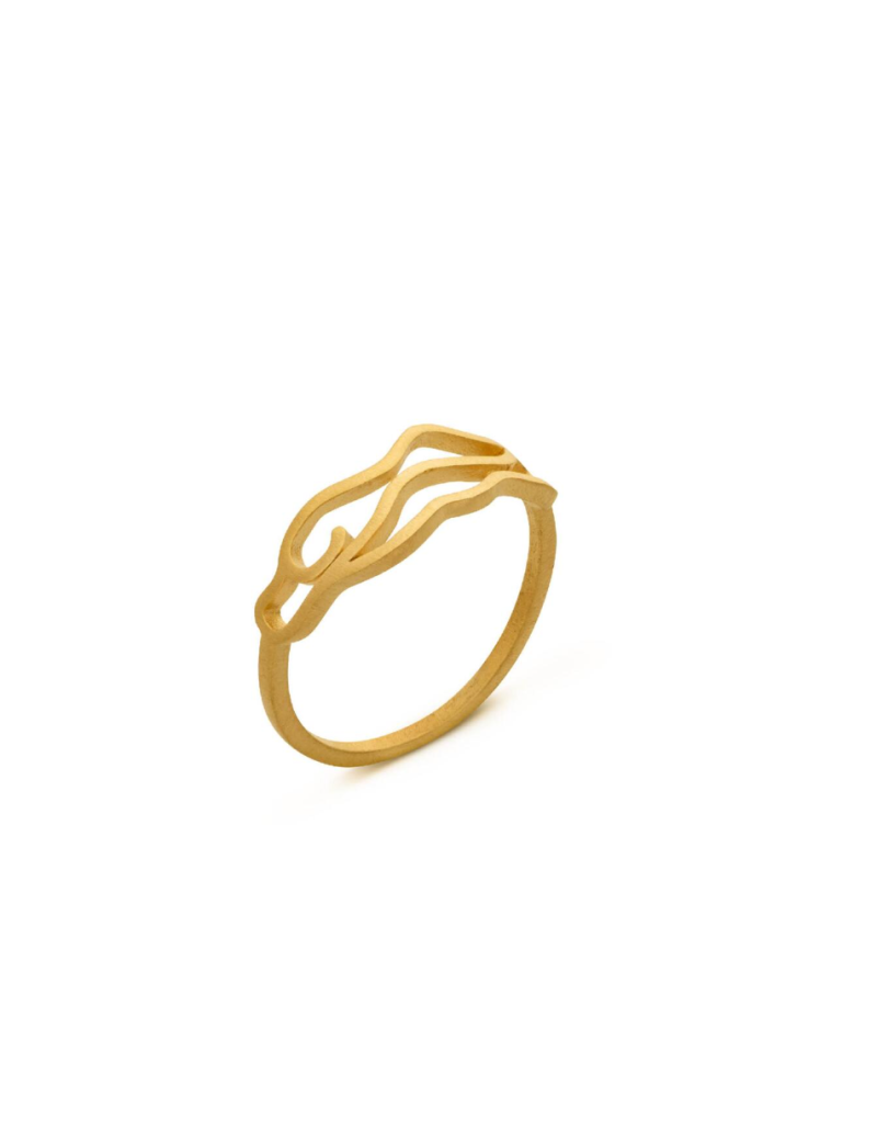 Golden Ring Pedrera Gaudi