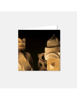 Pedrera Terrace Postcard